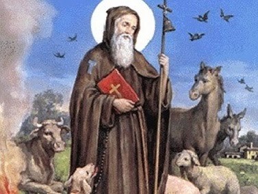 Praised be You, my Lord, with all Your creatures