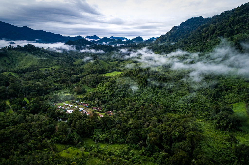 From doomed ecosystems to green jobs